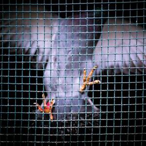 美国黑人妓女操逼
